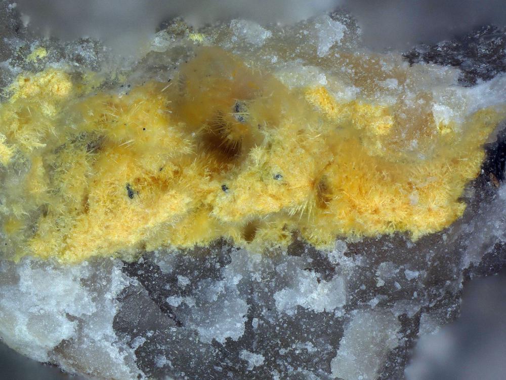 Vandendriesscheite